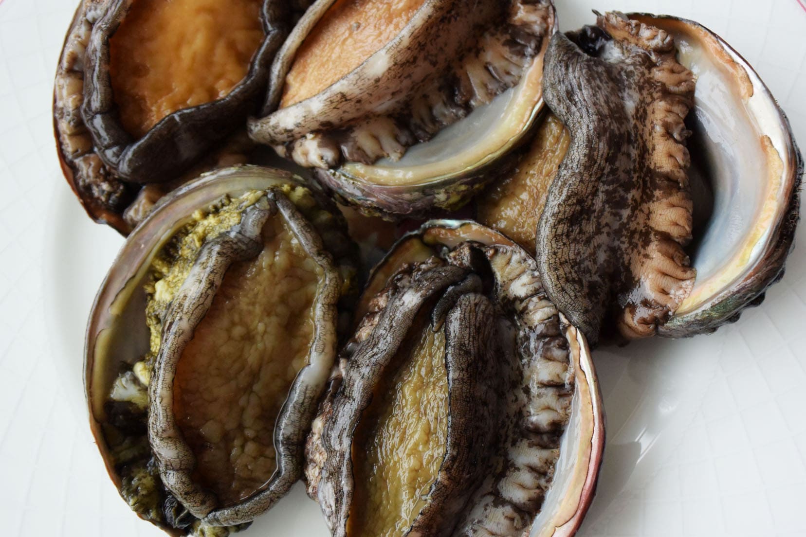 Abalone with frozen shell